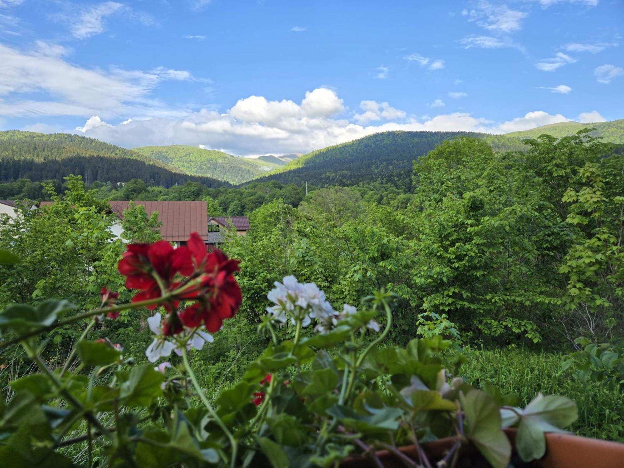 DRUMUL DOMNISORILOR c Buşteni Exterior foto